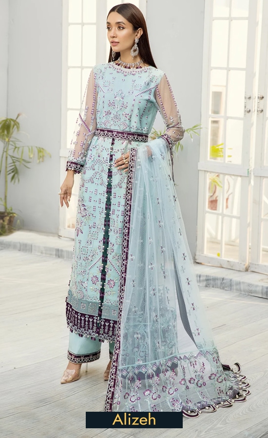 Embroidered Net - Aabyaan by alizeh