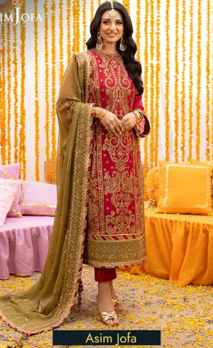 Embroidered Chiffon - AJDA-29