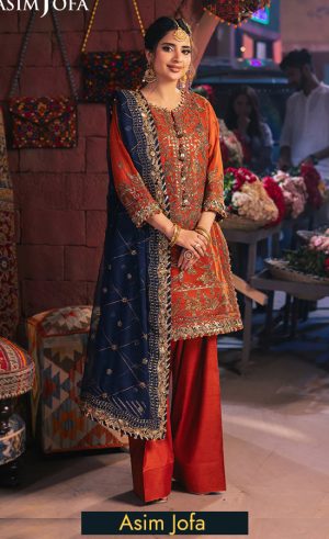 Embroidered Chiffon - AJKK-10