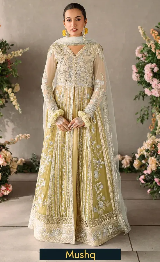Embroidered Chiffon - Hira 106U Embroidered Chiffon - Hira 106U