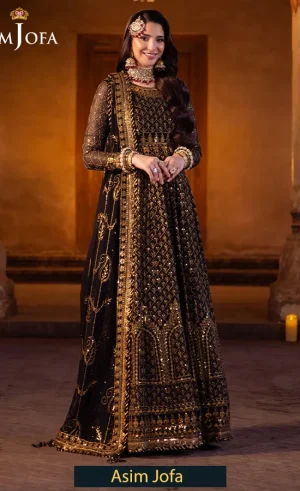 Embroidered Chiffon - AJYV-04