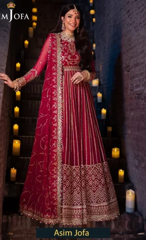 Embroidered Chiffon - AJYV-07
