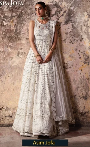 Embroidered Chiffon - AJKB-06