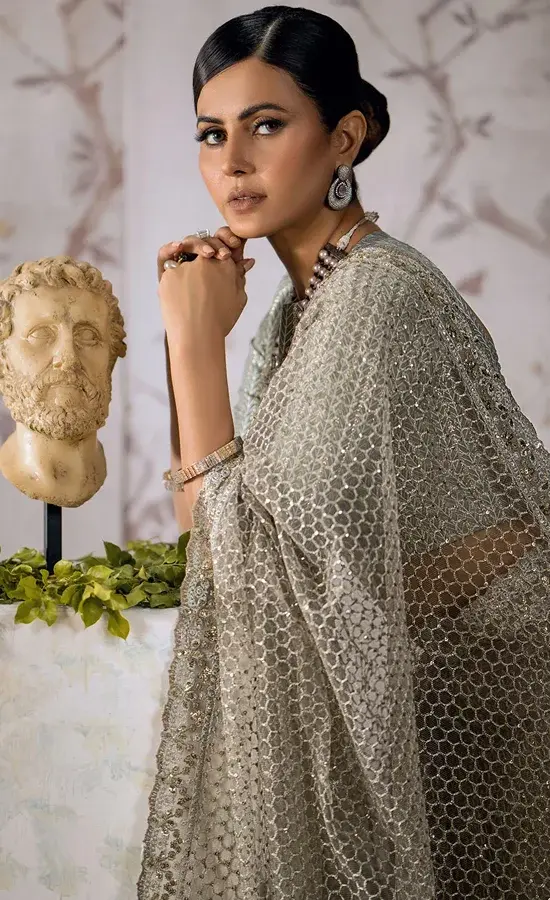 Gray Color Saree For Wedding Guests