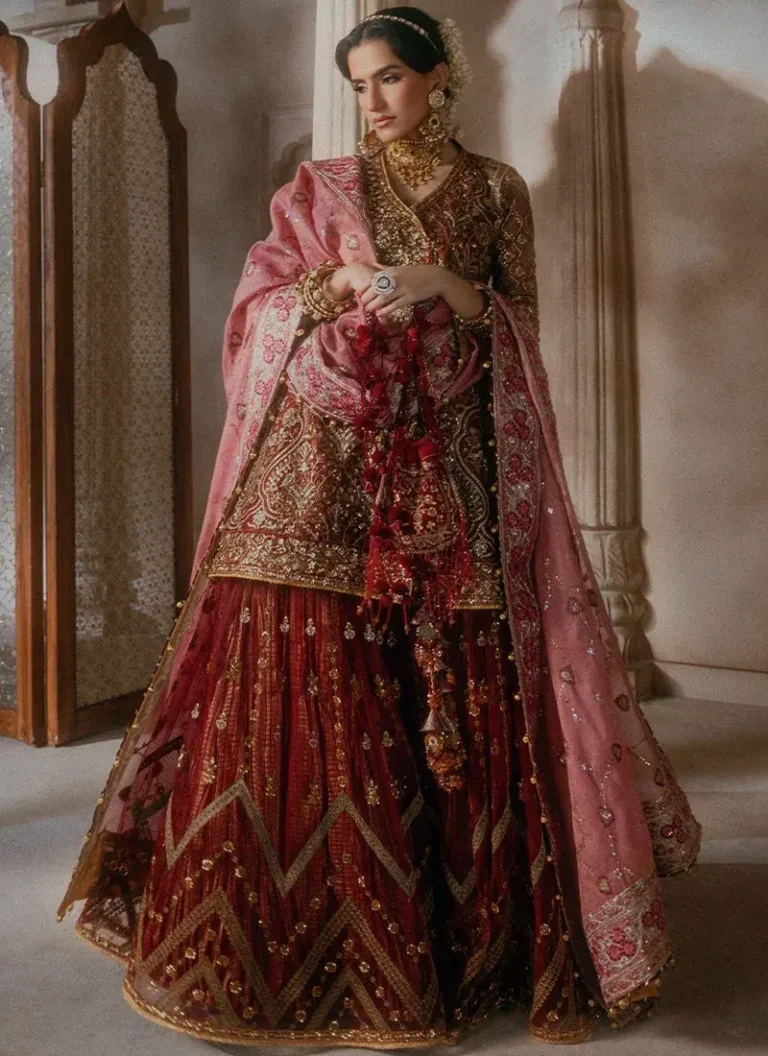 Pakistani Diwali wedding guest dress with hand embroidered organza sleeves, detailed neckline finishing and embellished front border
