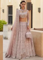 Dusty Pink Lehenga Choli Video