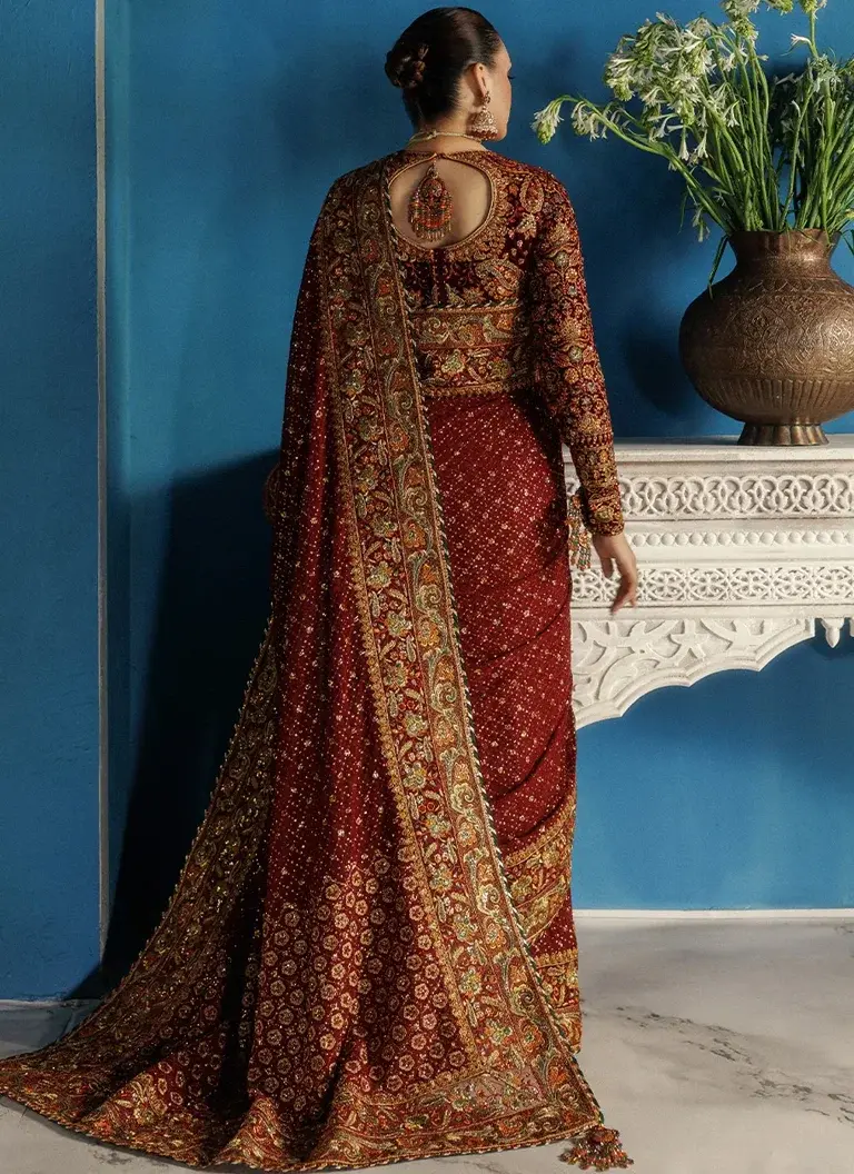 Burgundy embroidered saree with velvet blouse, embroidered organza neckline finishing and decorative sleeve borders