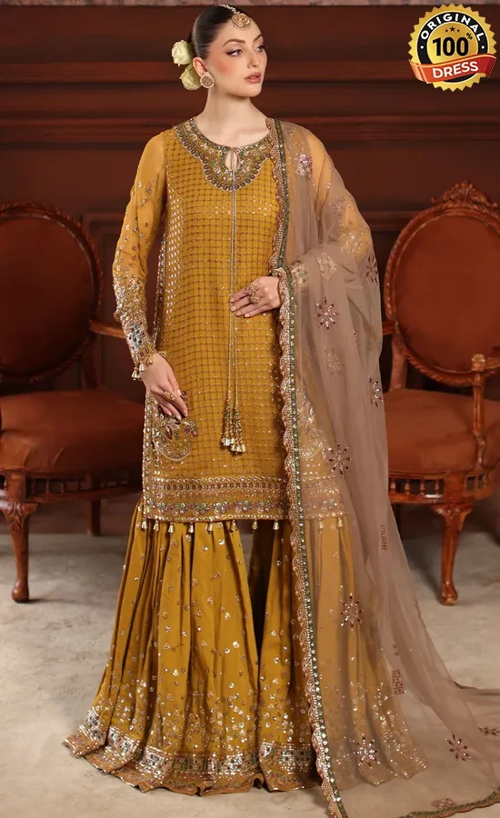 Embroidered Chiffon NL-92 Dress (1) Embroidered Chiffon NL-92 Dress (1)