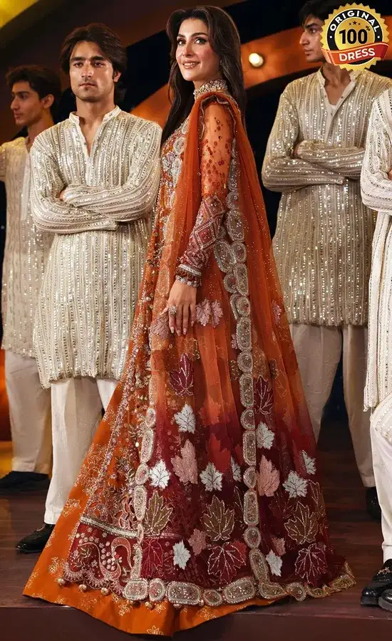 Embroidered Net NL-80 Zardozi Dress (3)