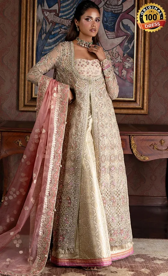 Embroidered Organza Jhilmil Dress (1) Embroidered Organza Jhilmil Dress (1)