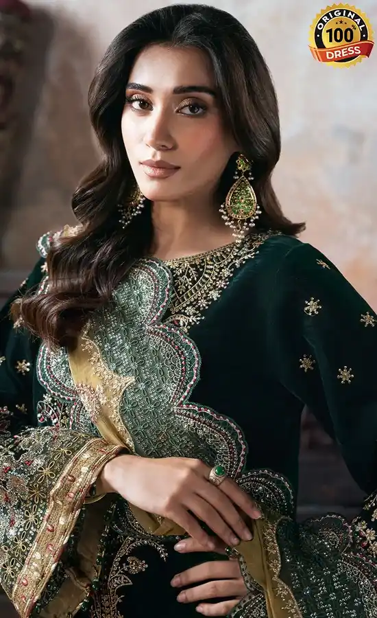 Embroidered Velvet V-702 Dress (4)