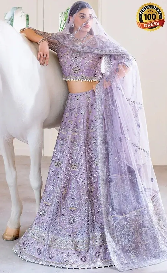 Ramsha PK Embroidered Organza H-505 Dress (1)