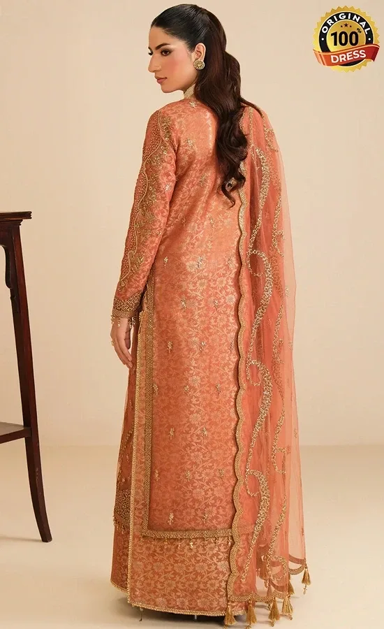 Alizeh PK Embroidered Net Dilkash Dress (4)