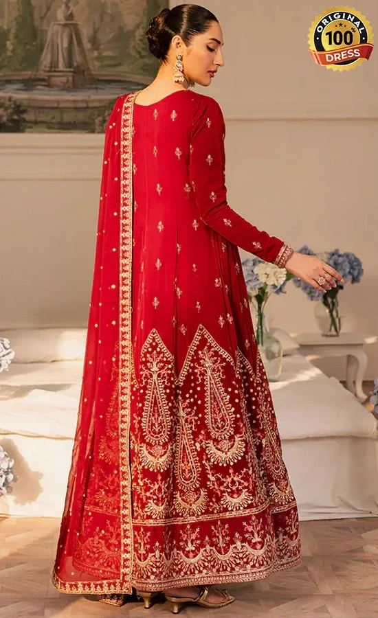 Embroidered Chiffon Cirel Dress (1)