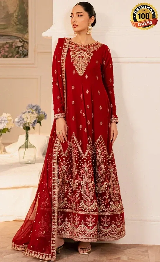 Embroidered Chiffon Cirel Dress (3)