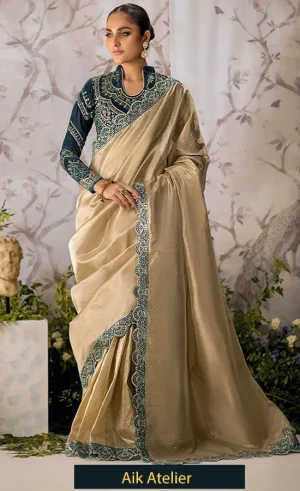 Embroidered-Velvet-SARI-EDIT-LOOK-04
